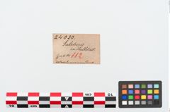 Etiketten zu Bronzerollenkopfnadel (NHMW-PRAE-024030)